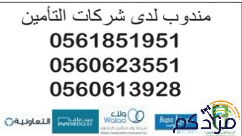 التأمين والتعقيب