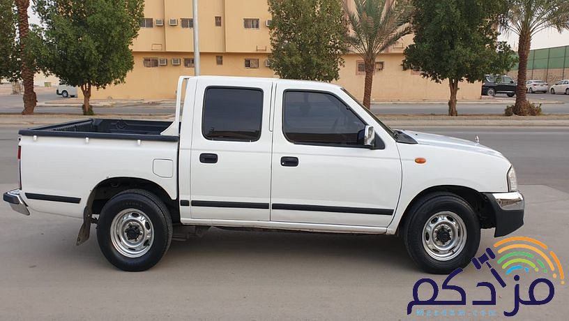 ددسن مديل 2010