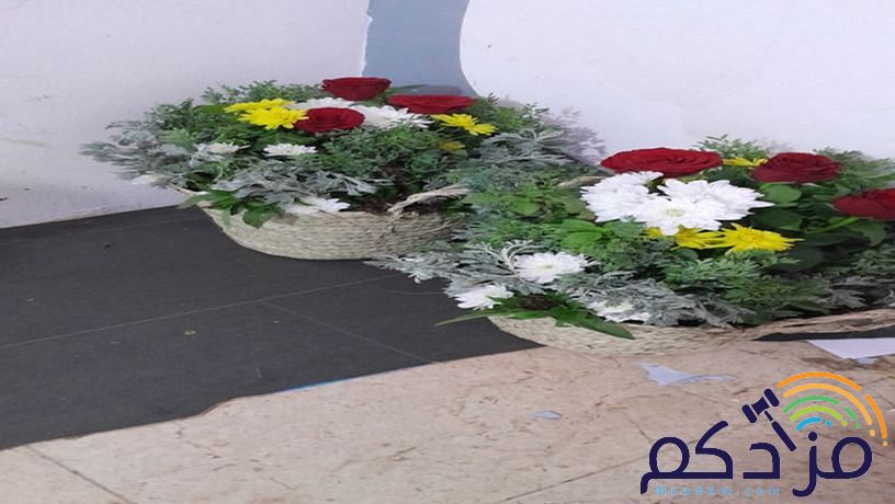 سالم لبيع جميع اشكال الفل البلدي جده