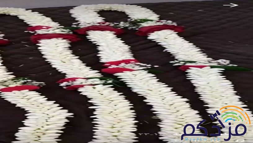 سالم لبيع جميع اشكال الفل البلدي جده