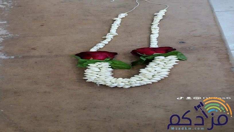 سالم لبيع جميع اشكال الفل البلدي جده