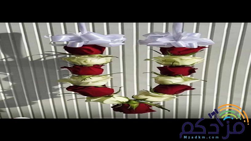 سالم لبيع جميع اشكال الفل البلدي جده