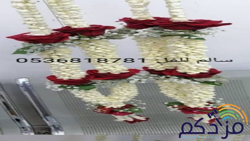 سالم لبيع جميع اشكال الفل البلدي جده