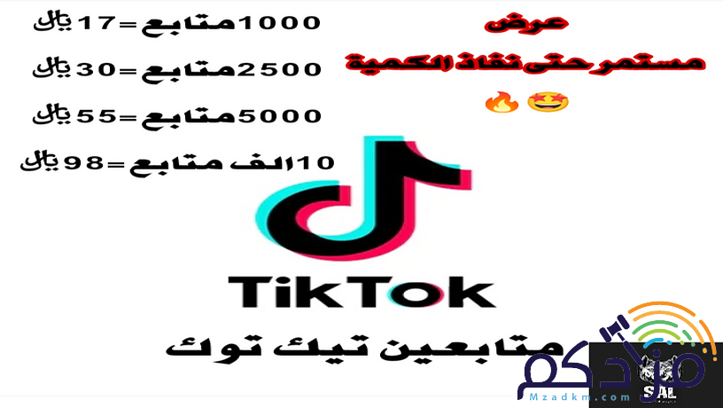 متابعين تيك توك مضمون و بأرخص الأسعار