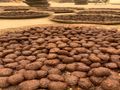 بخور دوسري معمول دوسري