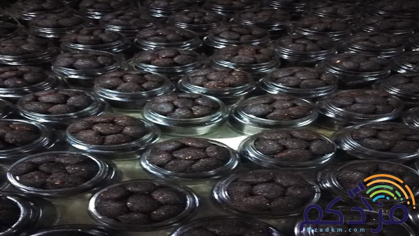 بخور دوسري معمول دوسري
