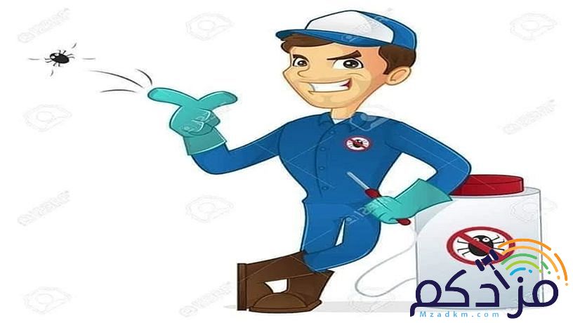شركة مكافحة حشرات ورش مبيدات دفان بالرياض