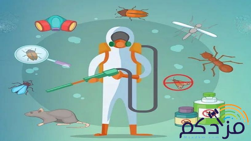 شركة مكافحة حشرات ورش مبيدات دفان بالرياض
