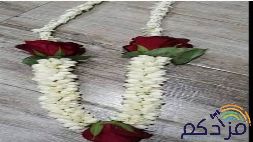 الفل البلدي الجيزاني