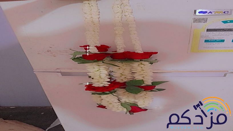 الفل البلدي الجيزاني