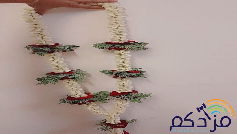 الفل البلدي الجيزاني