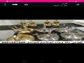 قهوجي مكه 0551557360