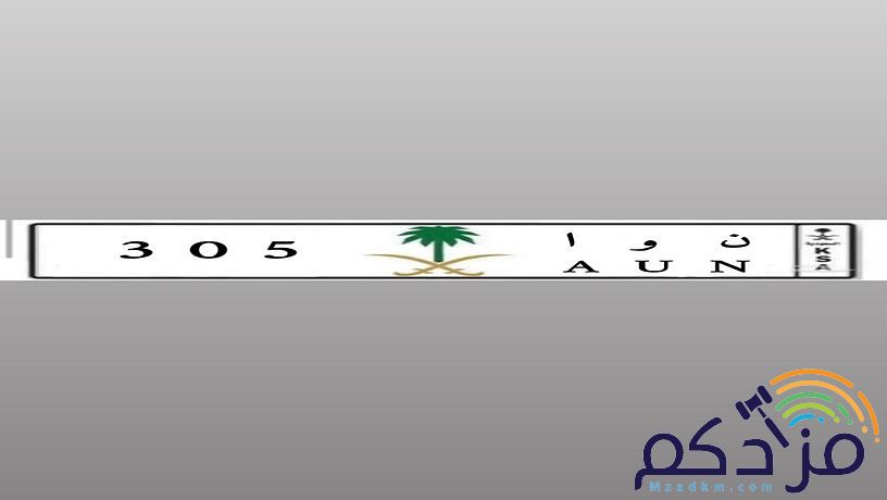 لوحة مميزة للبيع: ن و ا 305