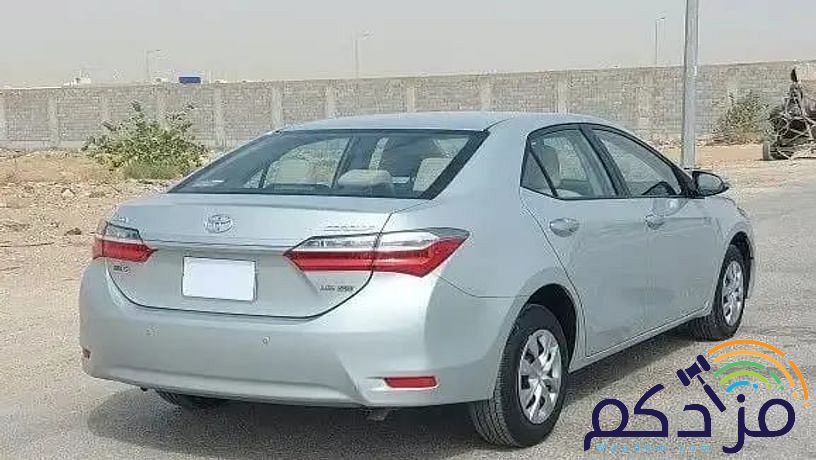 جيزان ابو عريس
