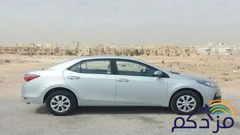 جيزان ابو عريس