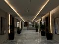 شقه للايجار