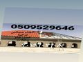 قرميد اسمنت بورد