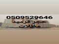 اسمنت بورد قرميد