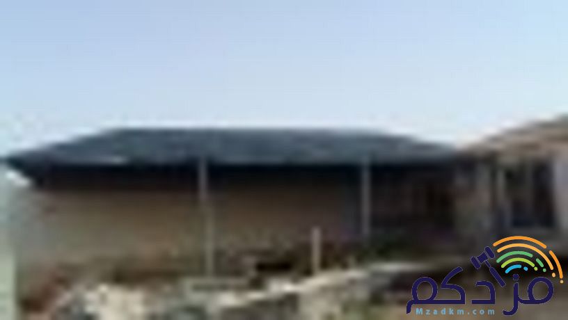 دهان ابوكسي