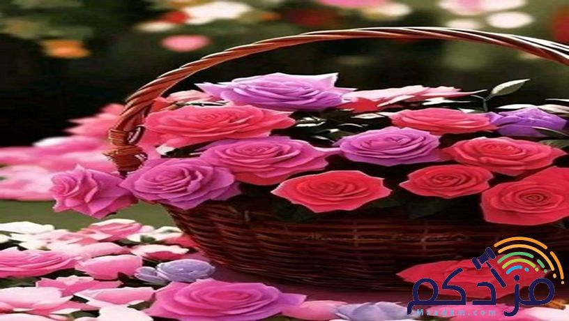 اسمنت بورد قرميد