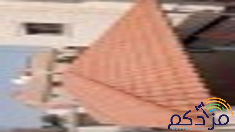 ملاحق خارجية دهان ابوكسي