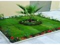 تنسيق حدائق المدينة المنورة موسسه فن العشب