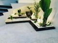 تنسيق حدائق المدينة المنورة موسسه فن العشب
