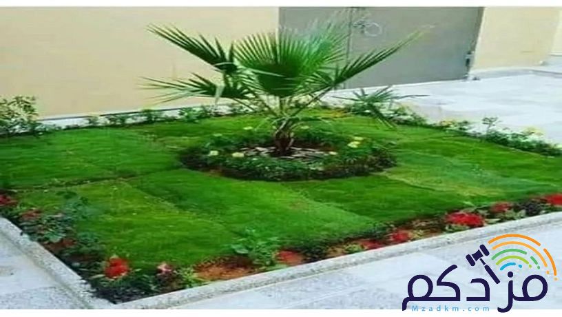 تنسيق حدائق المدينة المنورة موسسه فن العشب