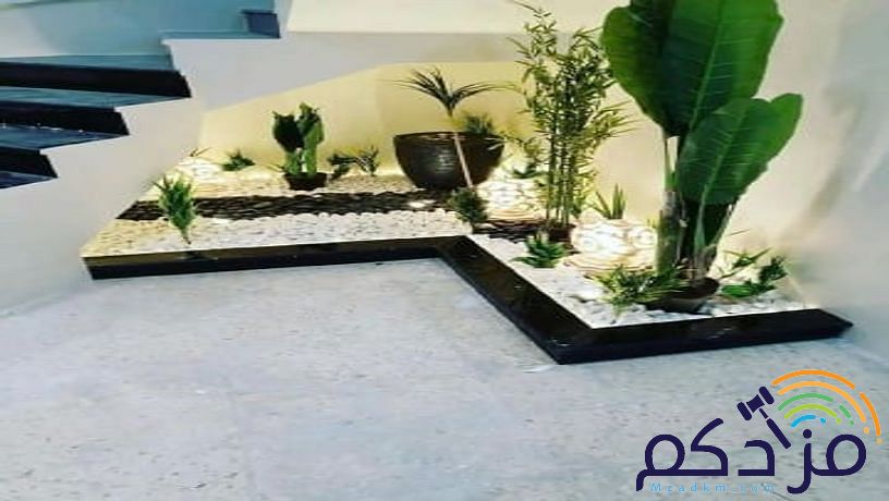 تنسيق حدائق المدينة المنورة موسسه فن العشب