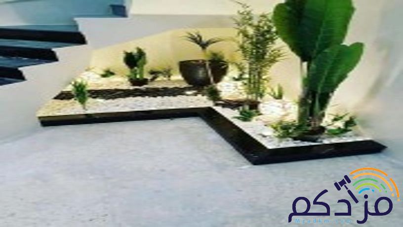تنسيق حدائق المدينة المنورة موسسه فن العشب