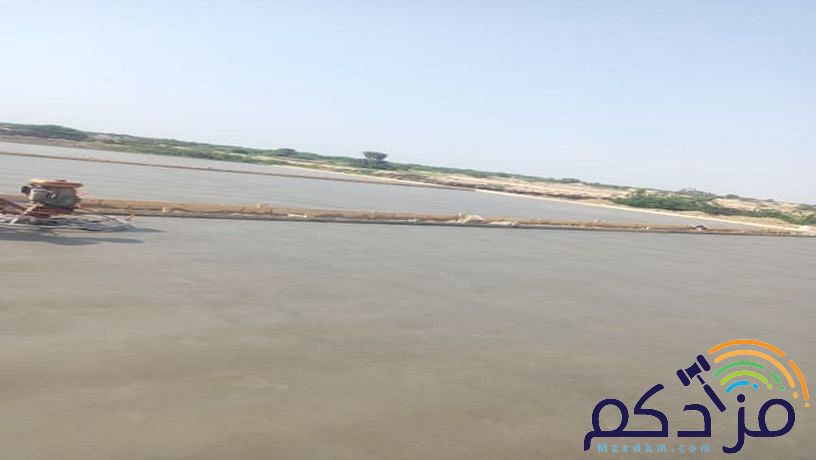 صبة مطبوعة ملونة ديكور صبة ميزانية مروحة