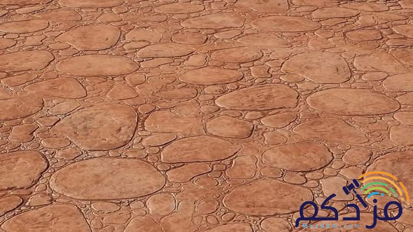 صبة مطبوعة ملونة ديكور صبة ميزانية مروحة