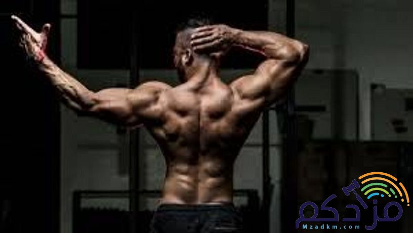 اخصائي تغذيه صحيه وعلاجيه ومدرب لياقه بدنيه