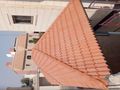 دهان ابوكسي سفلته