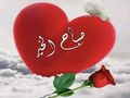 قرميد اسمنت بورد
