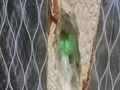 كشف تسريبات المياه بالضمان الكشف مجاني عند الإصلاح