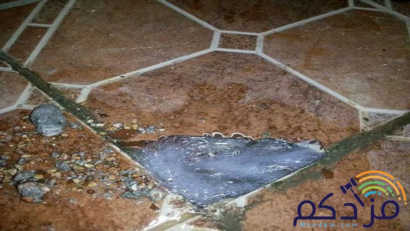 كشف تسريبات المياه بالضمان الكشف مجاني عند الإصلاح