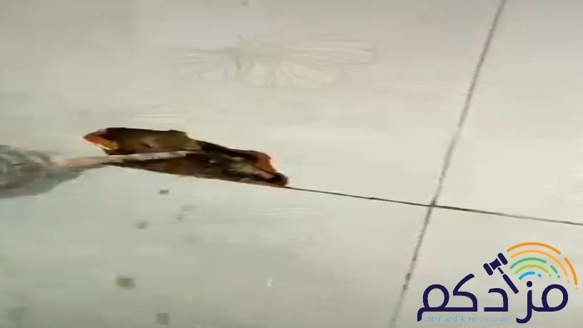 كشف تسريبات المياه بالضمان الكشف مجاني عند الإصلاح