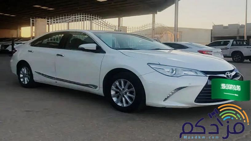 المدينه المنوره