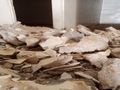 تكسير جدران قص درايش وفتح ابواب 0592906209