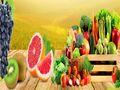 شركة نهر الامداد لتوريد الفواكة والخضروات بجدة