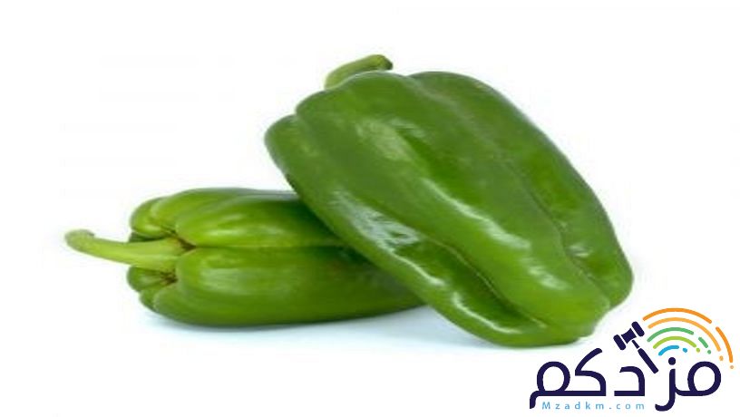 شركة نهر الامداد لتوريد الفواكة والخضروات بجدة