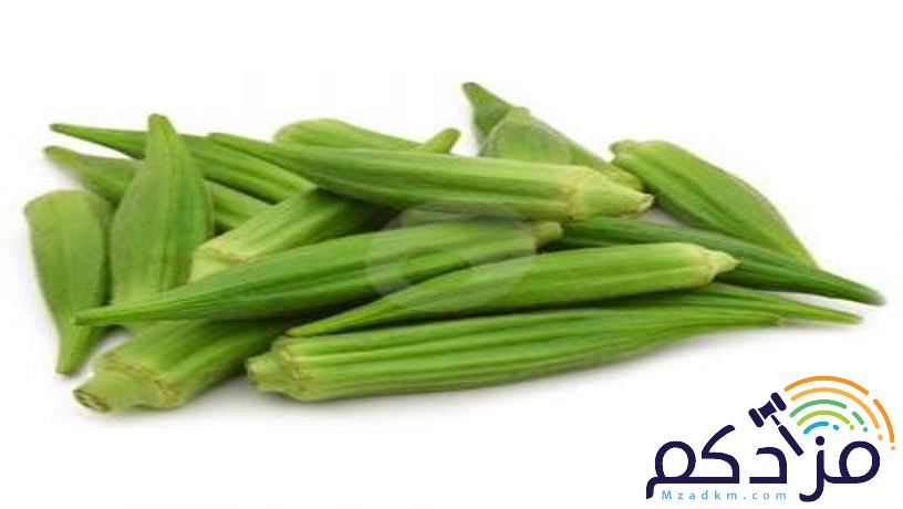 شركة نهر الامداد لتوريد الفواكة والخضروات بجدة