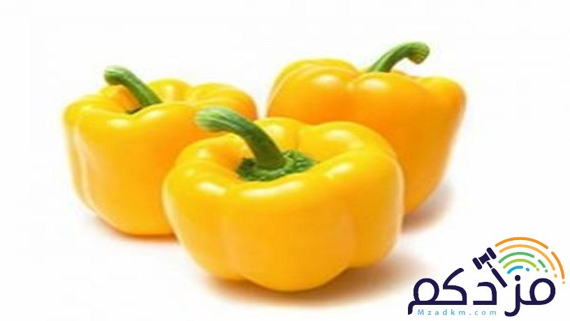 شركة نهر الامداد لتوريد الفواكة والخضروات بجدة