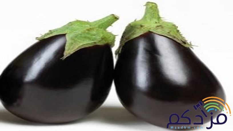 شركة نهر الامداد لتوريد الفواكة والخضروات بجدة