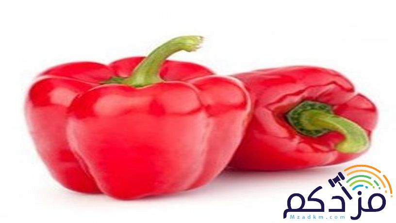 شركة نهر الامداد لتوريد الفواكة والخضروات بجدة