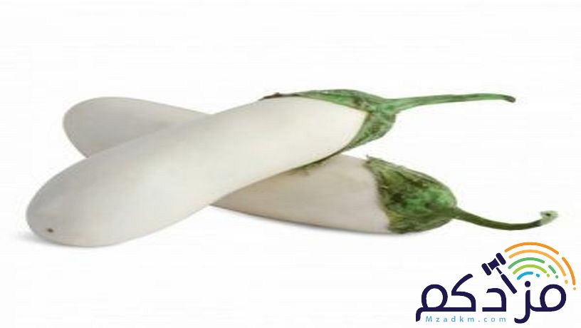 شركة نهر الامداد لتوريد الفواكة والخضروات بجدة