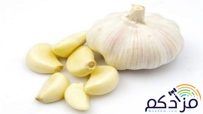 شركة نهر الامداد لتوريد الفواكة والخضروات بجدة