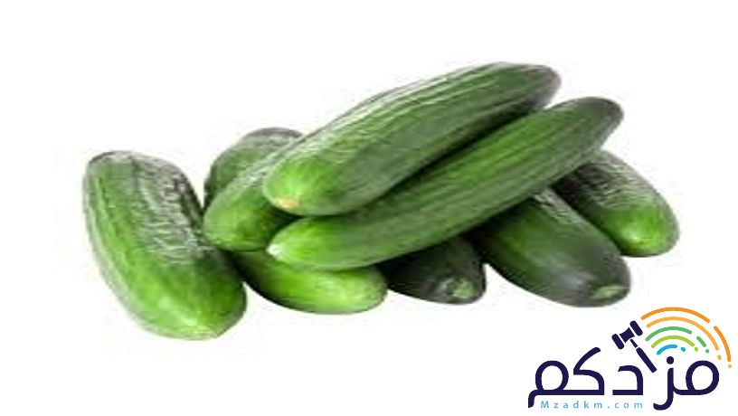 شركة نهر الامداد لتوريد الفواكة والخضروات بجدة
