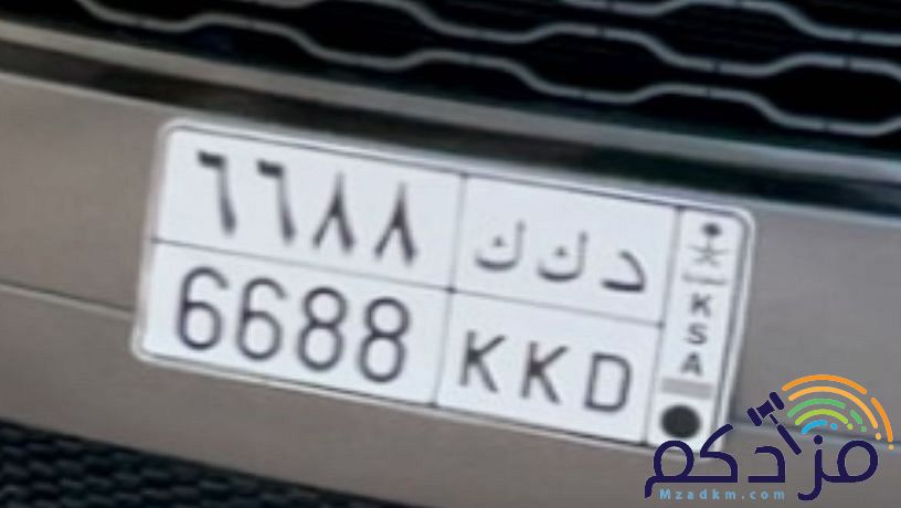 لوحة مميزة للبيع